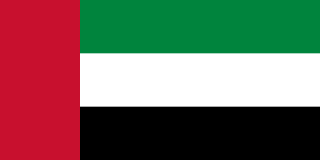 Dubai (UAE) flag